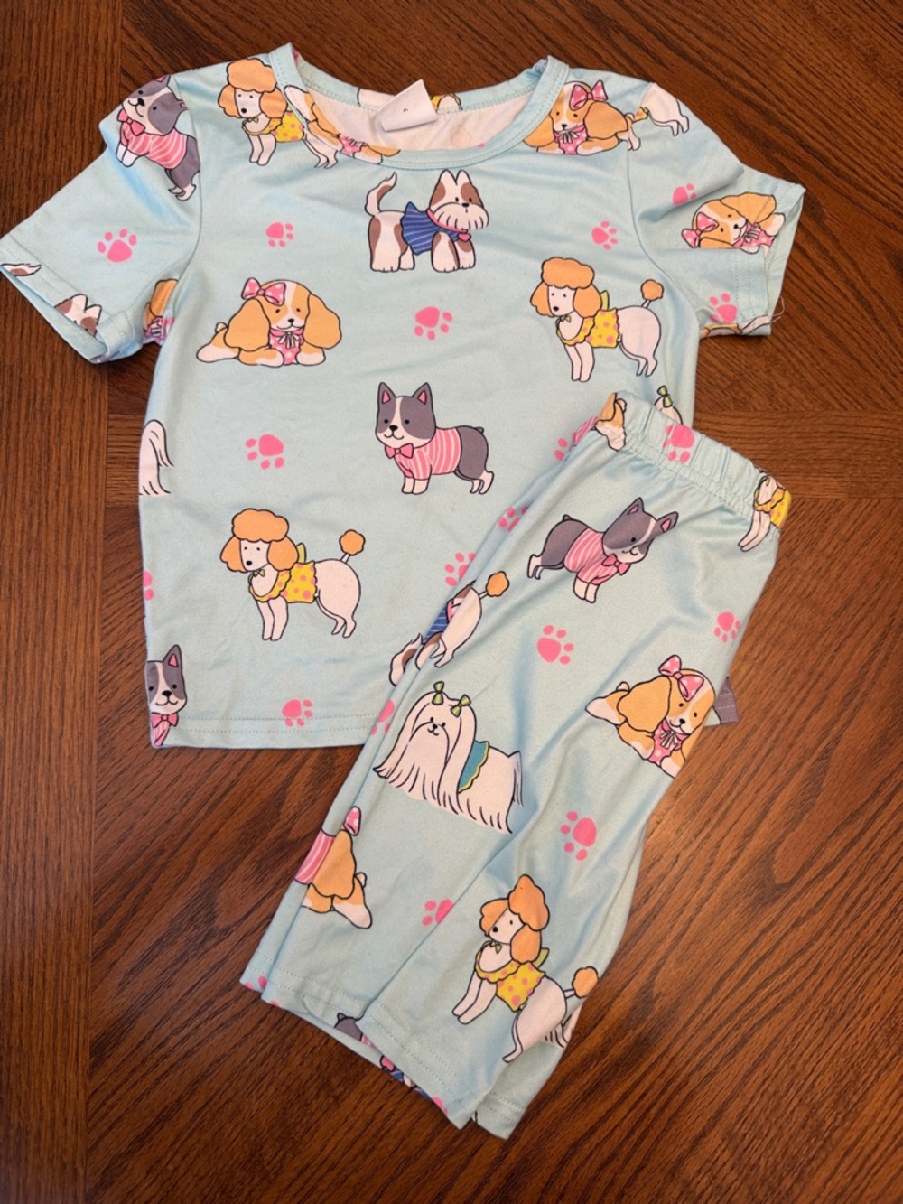 Kids Light Blue Puppy Print Pajama Set